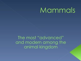 The most “advanced” and modern among the animal kingdom 