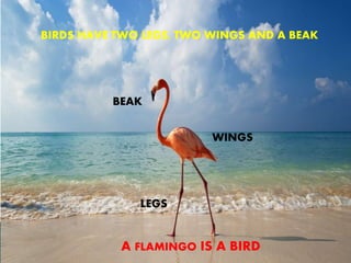 BIRDS HAVE TWO LEGS, TWO WINGS AND A BEAK
BEAK
WINGS
LEGS
A FLAMINGO IS A BIRD
 