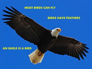 MOST BIRDS CAN FLY
BIRDS HAVE FEATHERS
AN EAGLE IS A BIRD
 