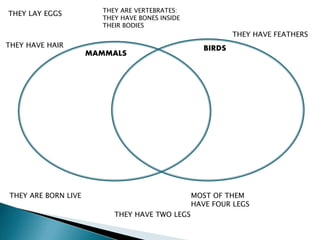 THEY LAY EGGS THEY ARE VERTEBRATES:
THEY HAVE BONES INSIDE
THEIR BODIES
THEY HAVE FEATHERS
THEY HAVE HAIR
THEY ARE BORN LIVE
THEY HAVE TWO LEGS
MOST OF THEM
HAVE FOUR LEGS
MAMMALS
BIRDS
 