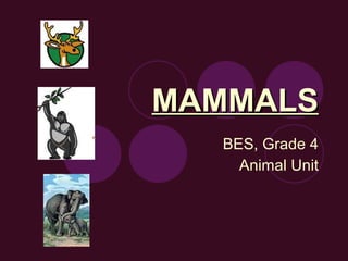 MAMMALS BES, Grade 4 Animal Unit 