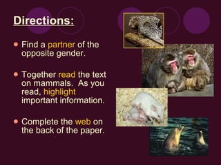 Directions: Find a  partner  of the opposite gender. Together  read  the text on mammals.  As you read,  highlight  important information. Complete the  web  on the back of the paper. 