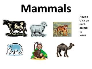 Mammals   Have a
          click on
          each
          animal
          to
          learn
 
