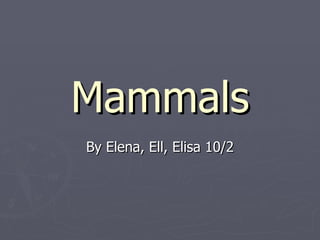 Mammals By Elena, Ell, Elisa 10/2 