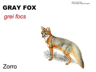 Author John Oroszi
            For the Valper Institute of English



GRAY FOX
grei focs




Zorro
 