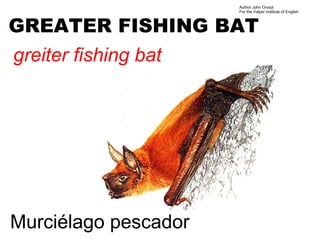 Author John Oroszi
                      For the Valper Institute of English



GREATER FISHING BAT
greiter fishing bat




Murciélago pescador
 