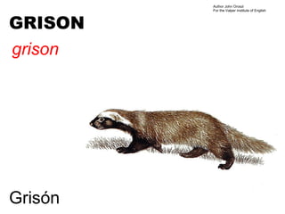 Author John Oroszi
         For the Valper Institute of English



GRISON
grison




Grisón
 