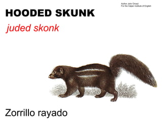 Author John Oroszi
                  For the Valper Institute of English



HOODED SKUNK
juded skonk




Zorrillo rayado
 
