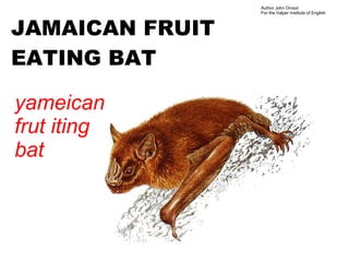 Author John Oroszi
                 For the Valper Institute of English



JAMAICAN FRUIT
EATING BAT

yameican
frut iting
bat
 