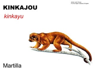 Author John Oroszi
           For the Valper Institute of English



KINKAJOU
kinkayu




Martilla
 