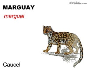 Author John Oroszi
          For the Valper Institute of English



MARGUAY
marguai




Caucel
 