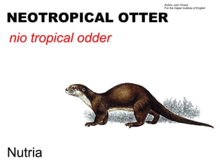 Author John Oroszi
                     For the Valper Institute of English



NEOTROPICAL OTTER
nio tropical odder




Nutria
 