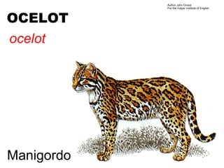 Author John Oroszi
            For the Valper Institute of English



OCELOT
ocelot




Manigordo
 
