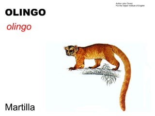 Author John Oroszi
           For the Valper Institute of English



OLINGO
olingo




Martilla
 