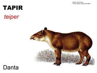 Author John Oroszi
         For the Valper Institute of English



TAPIR
teiper




Danta
 