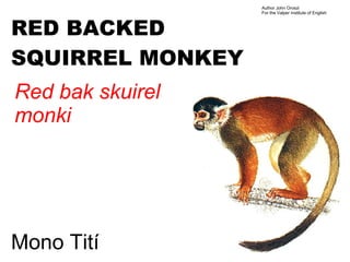 Author John Oroszi
                  For the Valper Institute of English



RED BACKED
SQUIRREL MONKEY
Red bak skuirel
monki




Mono Tití
 