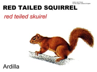 Author John Oroszi
                     For the Valper Institute of English



RED TAILED SQUIRREL
red teiled skuirel




Ardilla
 