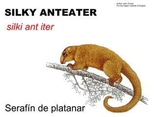 Author John Oroszi
                      For the Valper Institute of English



SILKY ANTEATER
silki ant iter




Serafín de platanar
 