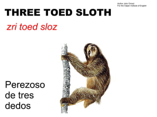 Author John Oroszi
                   For the Valper Institute of English



THREE TOED SLOTH
zri toed sloz




Perezoso
de tres
dedos
 