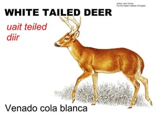 Author John Oroszi
                     For the Valper Institute of English



WHITE TAILED DEER
uait teiled
diir




Venado cola blanca
 
