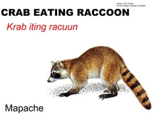 Author John Oroszi
                    For the Valper Institute of English



CRAB EATING RACCOON
Krab iting racuun




Mapache
 