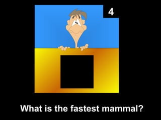 4 What is the fastest mammal? 