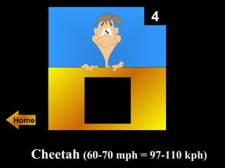 4 Cheetah   (60-70 mph = 97-110 kph)   Home 