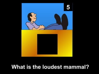 5 What is the loudest mammal? 