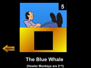 5 The Blue Whale  (Howler Monkeys are 2 nd !) Home 