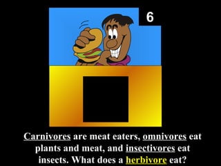 6 Carnivores  are meat eaters,  omnivores  eat plants and meat, and  insectivores  eat insects. What does a  herbivore  eat? 