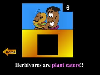 6 Herbivores are  plant eaters !! Home 