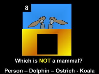 8 Which is  NOT  a mammal?  Person – Dolphin – Ostrich - Koala 