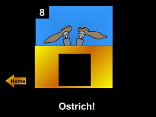 8 Ostrich!   Home 