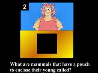 2 What are mammals that have a pouch to enclose their young called? 