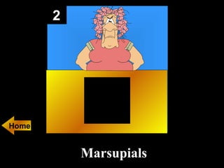 2 Marsupials Home 