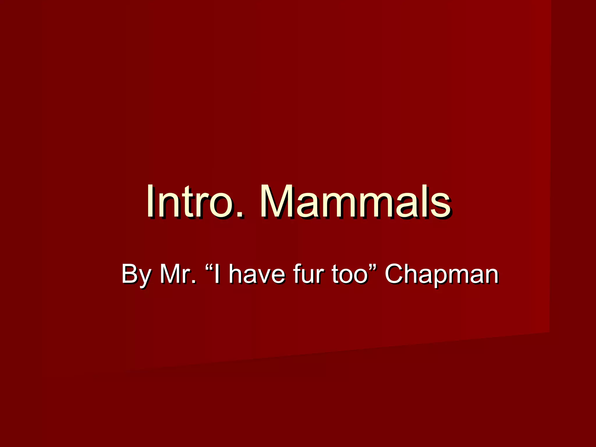Intro. Mammals
By Mr. “I have fur too” Chapman