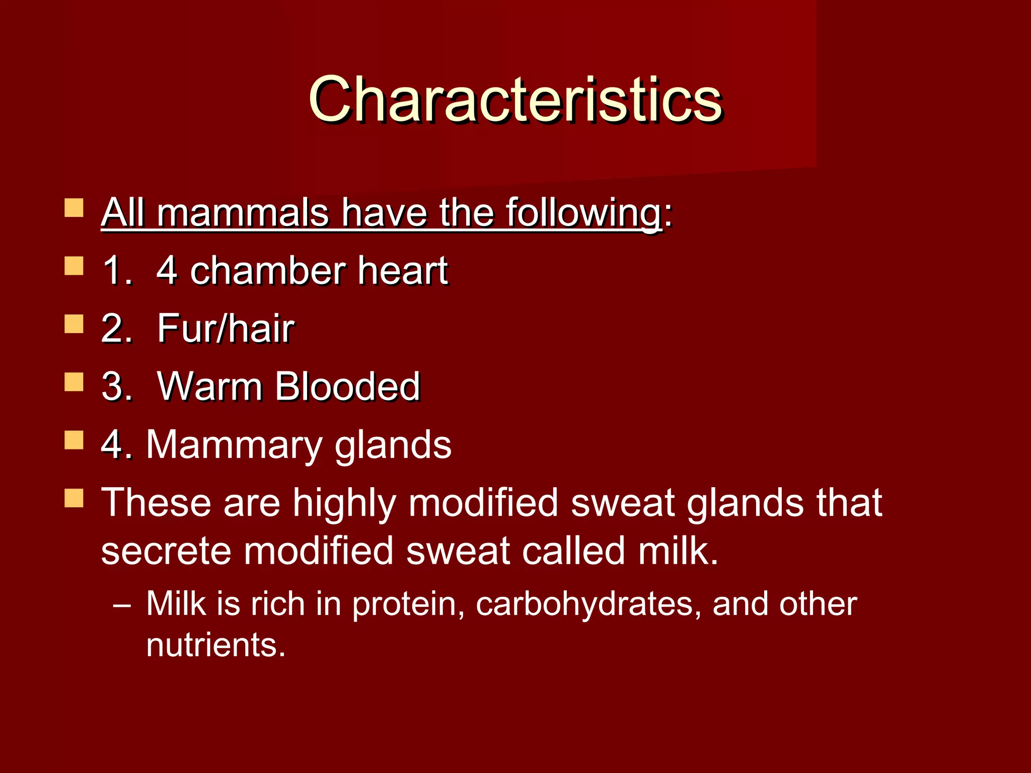 Characteristics
All mammals have the following:
1. 4 chamber heart
2. Fur/hair
3. Warm Blooded
4. Mammary glands
These are highly modified sweat glands that
secrete modified sweat called milk.
– Milk is rich in protein, carbohydrates, and other
nutrients.