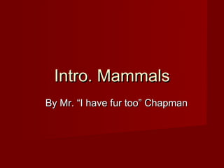 Intro. Mammals
By Mr. “I have fur too” Chapman
 