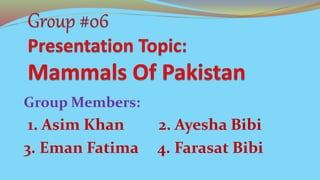 Group Members:
1. Asim Khan 2. Ayesha Bibi
3. Eman Fatima 4. Farasat Bibi
 