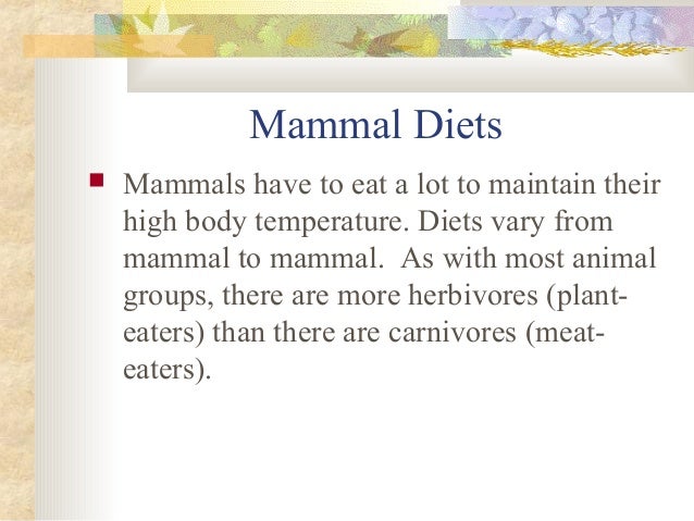 Mammals presentation Slide 10