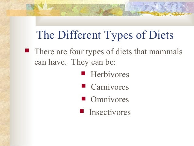 Mammals presentation Slide 11