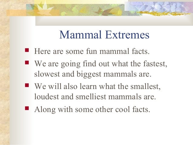 Mammals presentation Slide 17