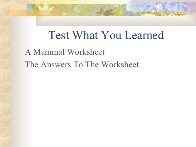 Mammals presentation Slide 28