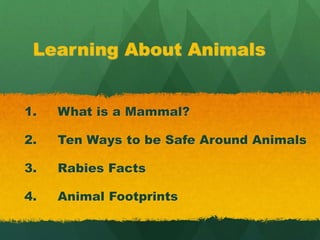 Learning About Animals
1. What is a Mammal?
2. Ten Ways to be Safe Around Animals
3. Rabies Facts
4. Animal Footprints
 