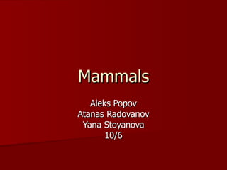 Mammals Aleks Popov Atanas Radovanov Yana Stoyanova 10/6 