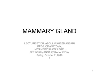 MAMMARY GLAND
LECTURE BY DR. ABDUL WAHEED ANSARI
PROF. OF ANATOMY,
MES MEDICAL COLLEGE,
PERINTALMANNA.KERALA. INDIA.
Friday, October 7, 2016
1
1
 