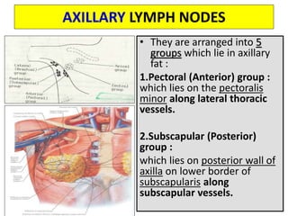 Mammary Gland.ppt