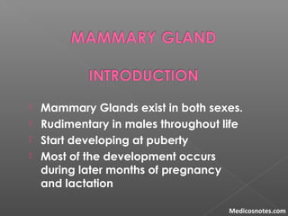  Mammary Glands exist in both sexes.
 Rudimentary in males throughout life
 Start developing at puberty
 Most of the d...