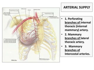 ARTERIAL SUPPLY
• 1. Perforating
branches of internal
thoracic (internal
mammary) artery.
• 2. Mammary
branches of lateral
thoracic artery.
• 3. Mammary
branches of
Intercostal arteries.
 