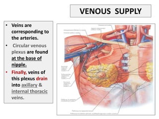 VENOUS SUPPLY
• Veins are
corresponding to
the arteries.
• Circular venous
plexus are found
at the base of
nipple.
• Finally, veins of
this plexus drain
into axillary &
internal thoracic
veins.
 